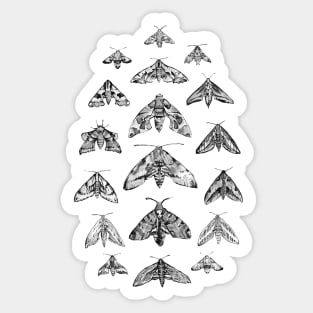 Bamboo Ink Hawkmoths Sticker